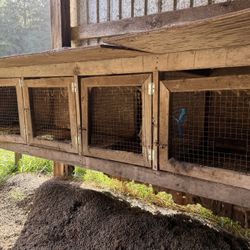 Rabbit hutch