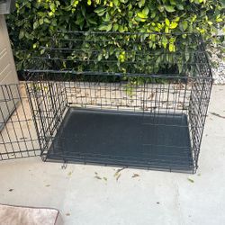 Collapsible Dog Crate 