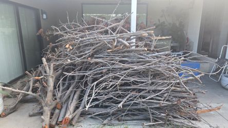 Free firewood