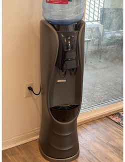 Water dispenser with hot and cold