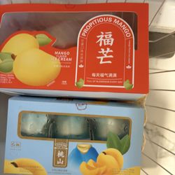 Korean TikTok Icecream 