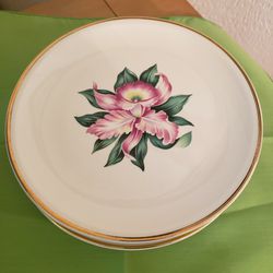 (6) Vintage  Modern Orchid 9.5" China Plates