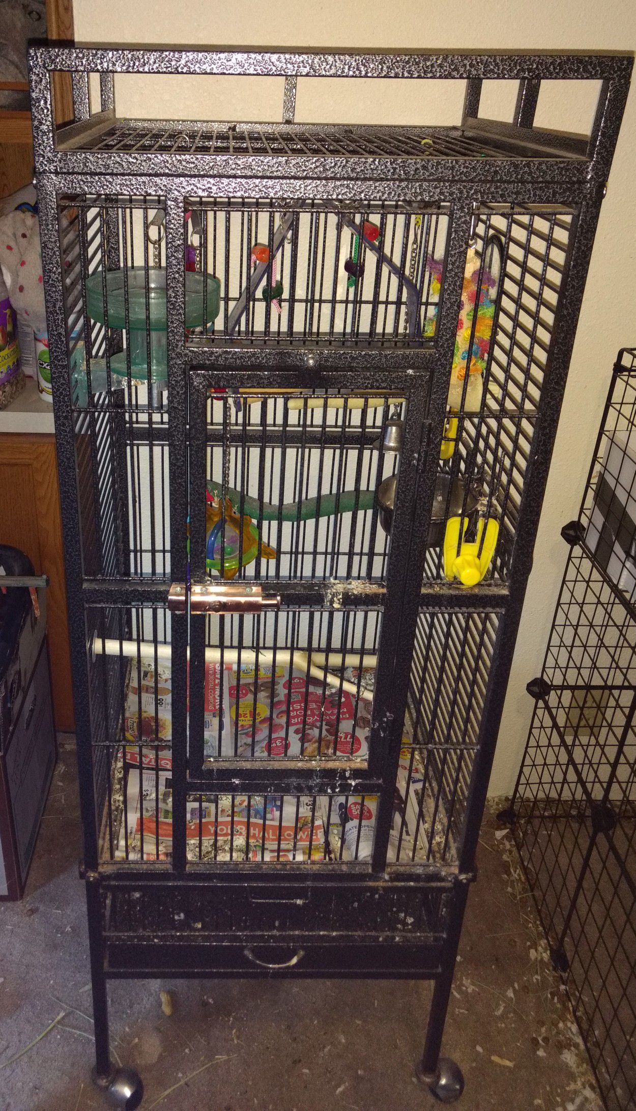 Bird Cage with Accessories