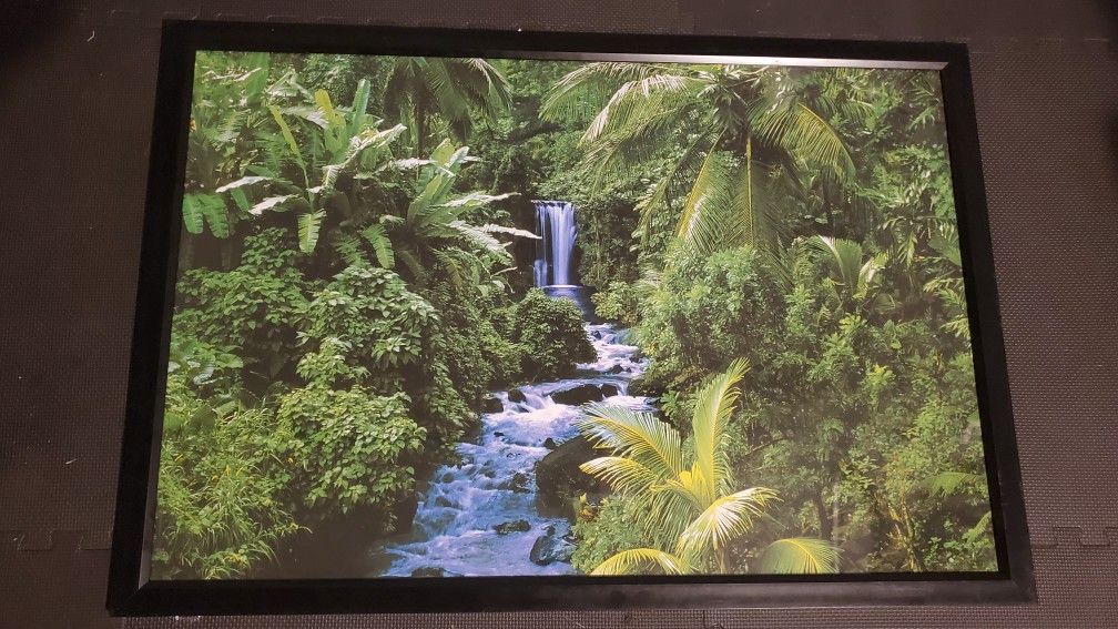 Nature Framed Posters (30"x42")