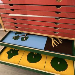 Montessori Botany Cabinet