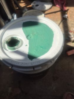 Pintura Nueva Color Verde Exterior Satin $95