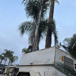 Light tower diesel Kubota