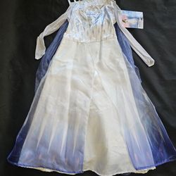 NWT Disney Frozen Girl's Snow Queen Elsa Halloween Dress-Up Costume Small 4-6X