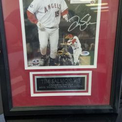 Tim Salmon Signed & Framed