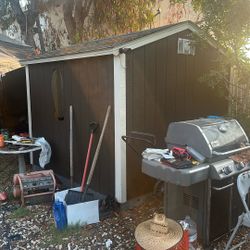 Shed For Sale 