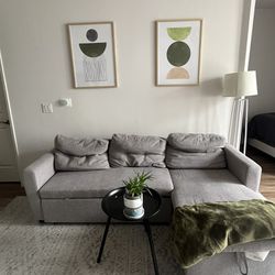 Wayfair Grey Couch - $150