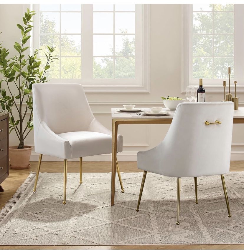 Two Modern medieval dining chairs restaurant chairs, soft cushions, plush velvet, polished gold metal legs, kitchen chairs