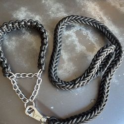 Leashes With Soft Prong Collar Many Sizes