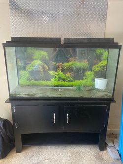 60 Gallon Fish Tank with stand