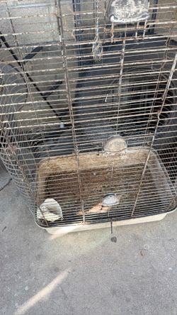 Bird, π Chicken Cag. Welcome To Come See It.