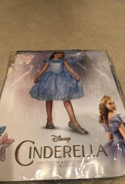 Cinderella Dress Never Used