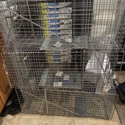 $15 Each To Trap Cats Or Rodent’s 