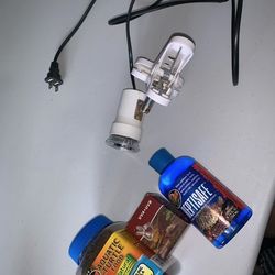Reptile food And Basin 