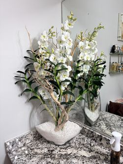 Luxury Orchid & Natural Wood Designer Arrangement – Modern Glass Vase