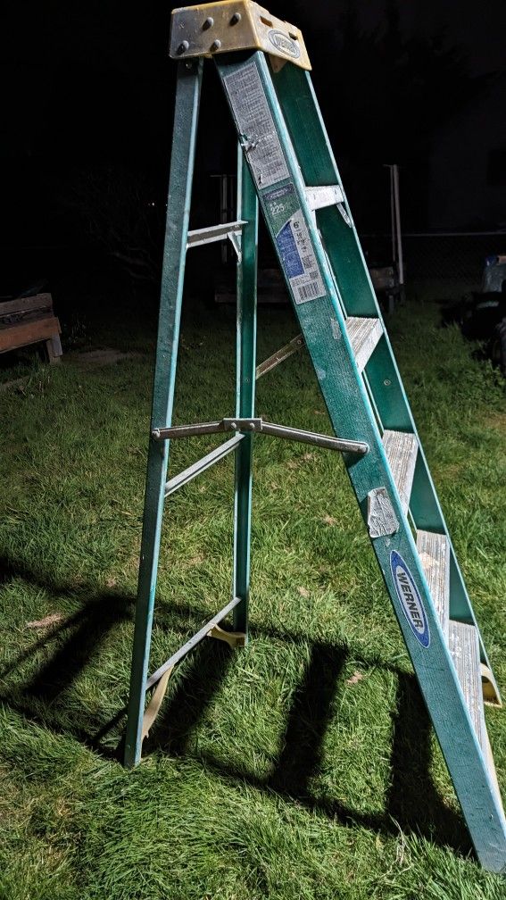 Werner 6' Fiberglass Step Ladder 