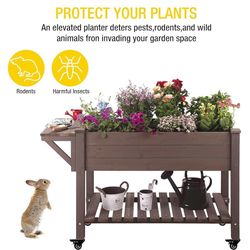 🔥 Raised Garden Bed on Wheels, Elevated Plant Boxes Outdoor Large with Grow Grid - with Large Storage Shelf 52.7" x 22" x 30"