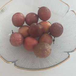 Passion Fruit 