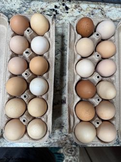 Organic natural raising eggs