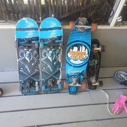 Skate Boards