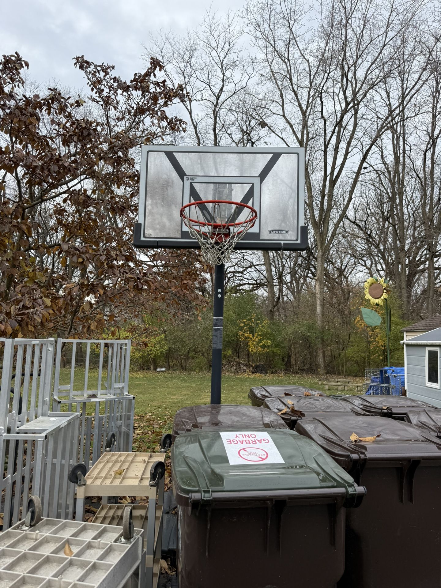 basketball Hoop