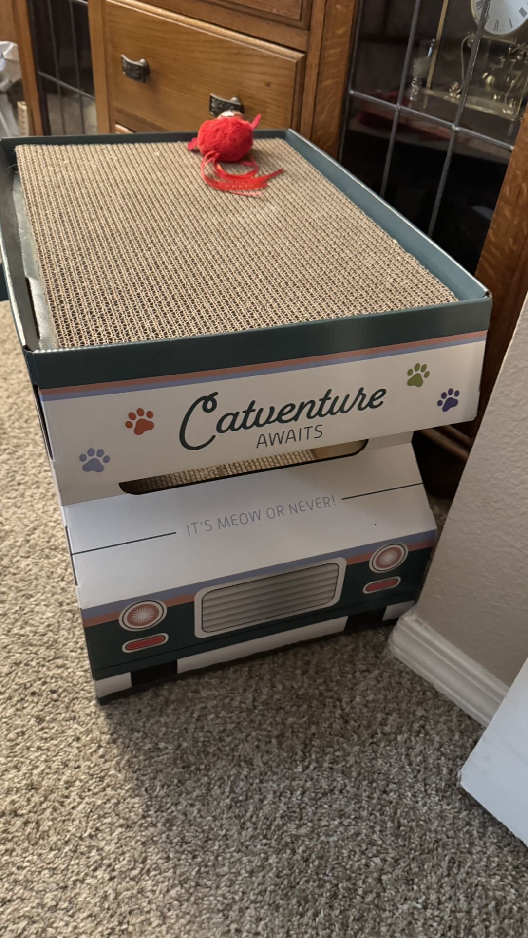 Cat Tv