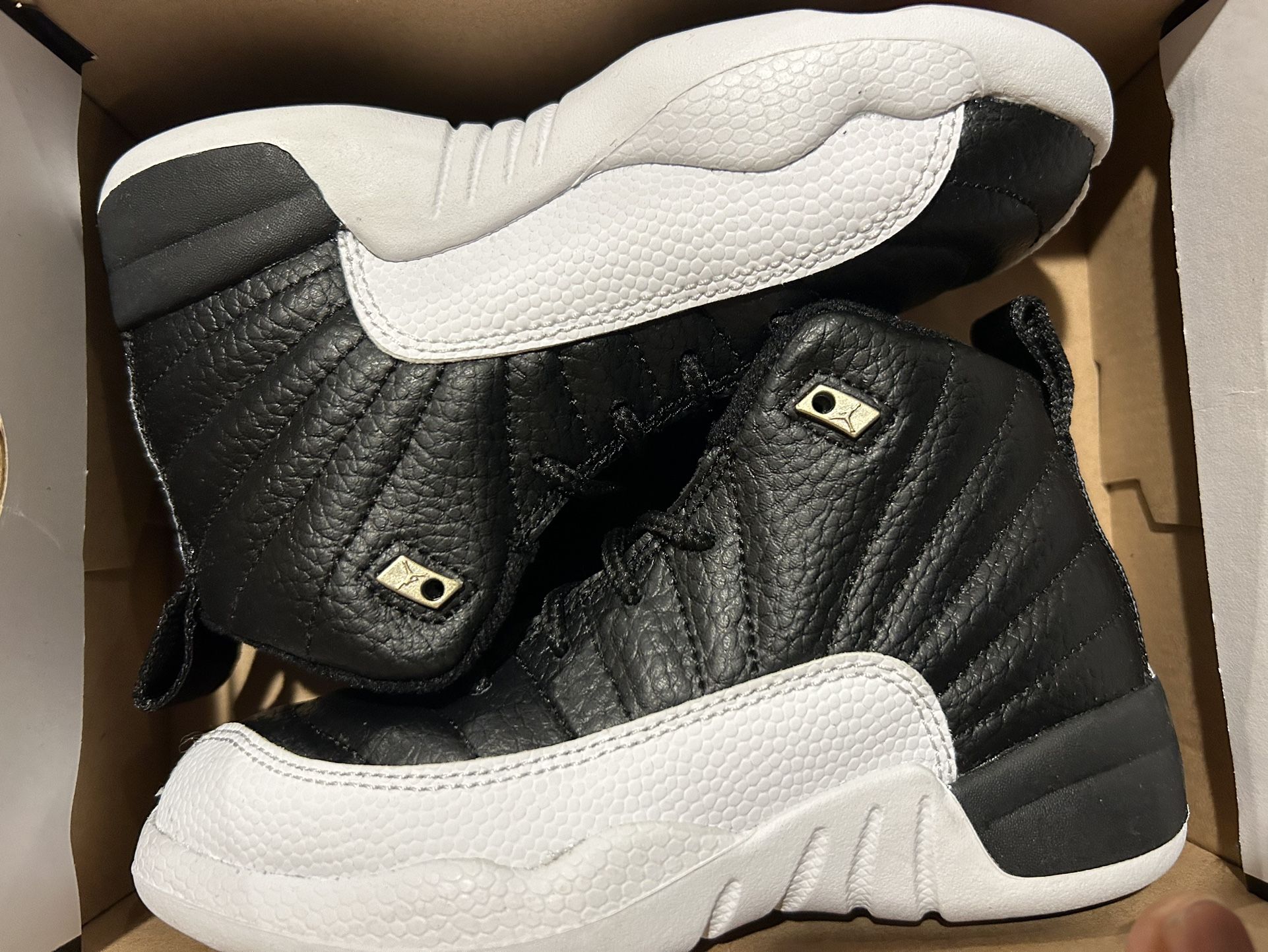 Brand new Retro Jordan 12