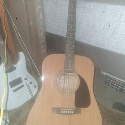 Fender FA-100