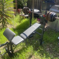 Bench Press With Bar 
