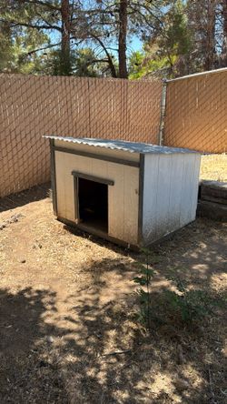 Dog house