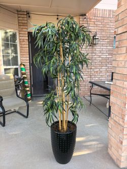 Large artificial bamboo.