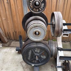 Weights, Barbells, Dumbbells, Squat Rack, Bench 