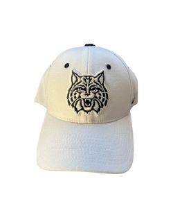 Vintage Arizona Wildcats Embroidered Baseball Cap
