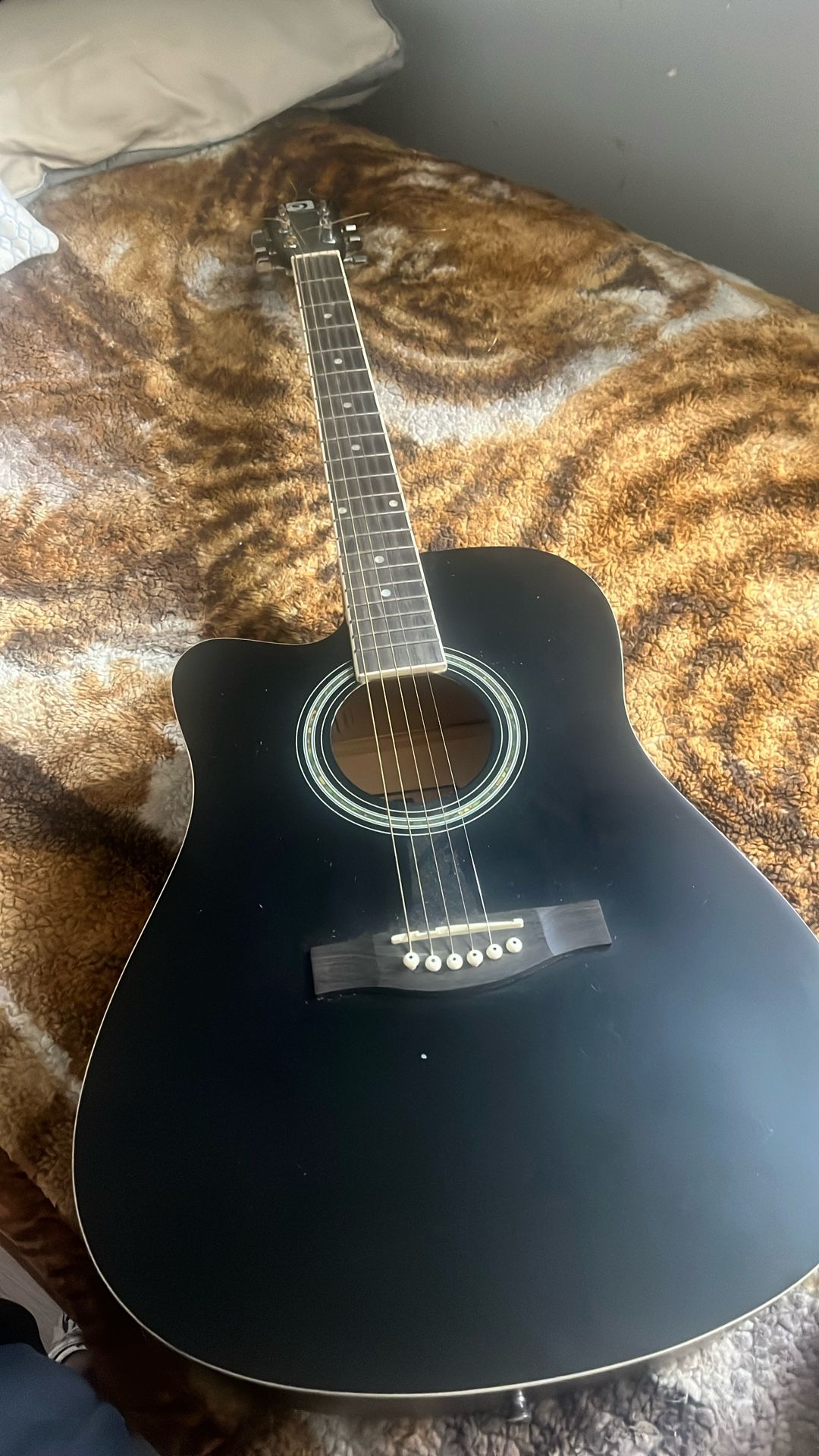 6 string guitar