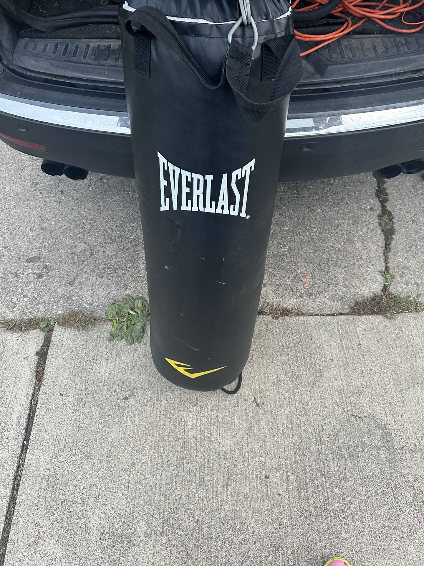 Everlast Punching Bag 150