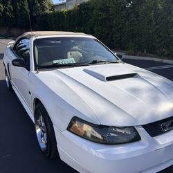 2002 Ford Mustang