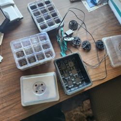 Plant Seed Trays