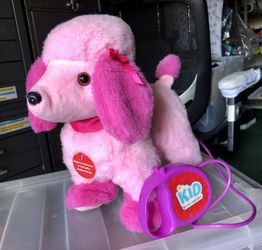 Kid connection walking poodle