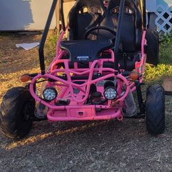 Tao Tao GK110 110cc Gas Go-Kart Youth Automatic