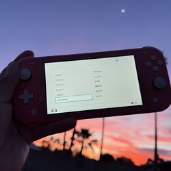 Nintendo Switch Lite