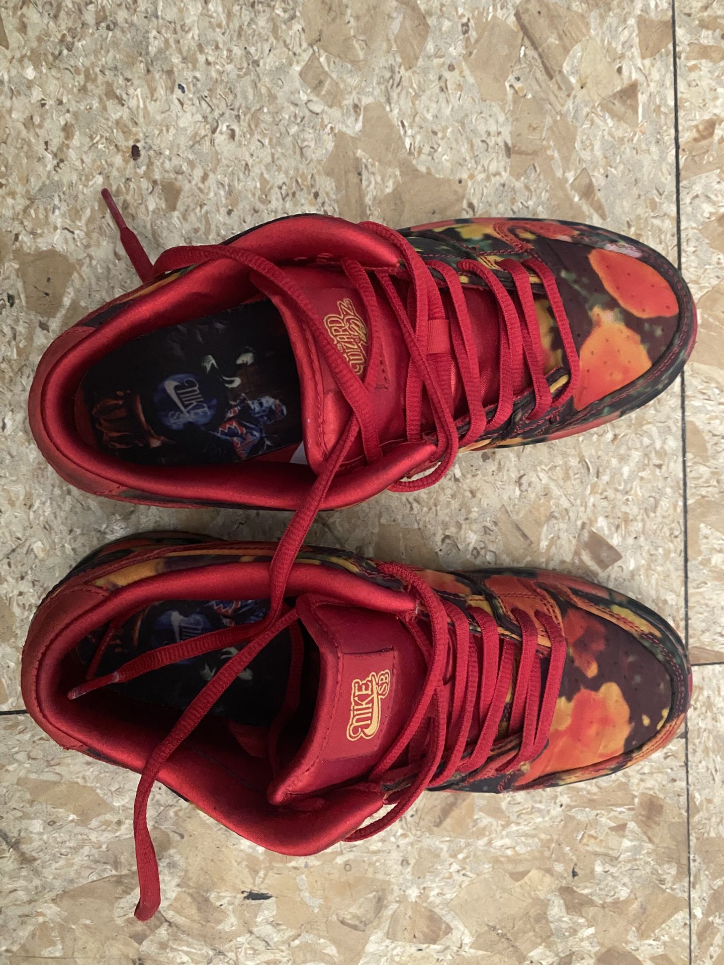 Nikes Sb Wizard of Oz