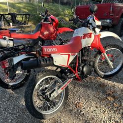 2001 XR650L & 1999 XT350!