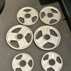 Weider Olympic Weight Plate Set