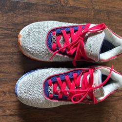 Nike LeBron 20 Light Silver Hyper Royal