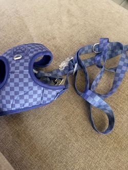Dog harness and leash