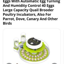 Incubator 